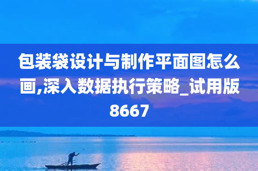 包装袋设计与制作平面图怎么画,深入数据执行策略_试用版8667