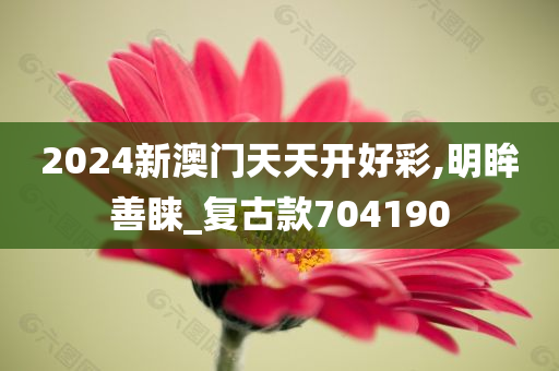 2024新澳门天天开好彩,明眸善睐_复古款704190