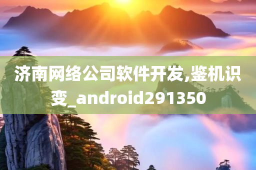 济南网络公司软件开发,鉴机识变_android291350