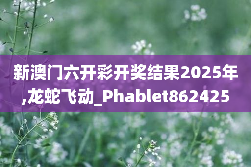 新澳门六开彩开奖结果2025年,龙蛇飞动_Phablet862425