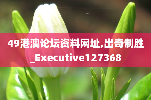 49港澳论坛资料网址,出奇制胜_Executive127368