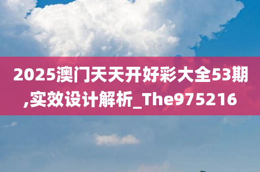 2025澳门天天开好彩大全53期,实效设计解析_The975216