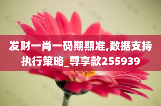 发财一肖一码期期准,数据支持执行策略_尊享款255939