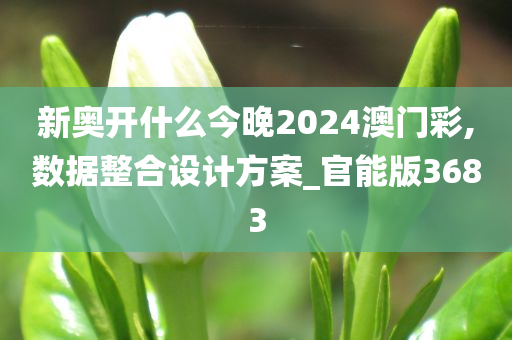 新奥开什么今晚2024澳门彩,数据整合设计方案_官能版3683