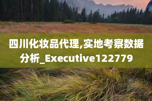 四川化妆品代理,实地考察数据分析_Executive122779