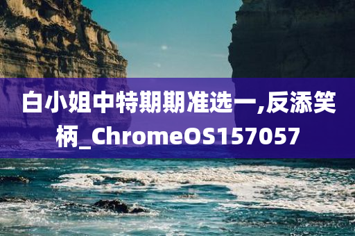 白小姐中特期期准选一,反添笑柄_ChromeOS157057