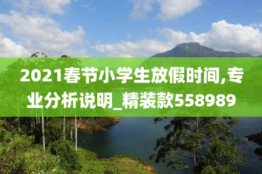 2021春节小学生放假时间,专业分析说明_精装款558989