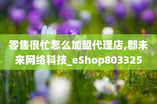 零售很忙怎么加盟代理店,郡未来网络科技_eShop803325