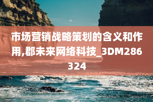 市场营销战略策划的含义和作用,郡未来网络科技_3DM286324