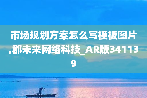 市场规划方案怎么写模板图片,郡未来网络科技_AR版341139