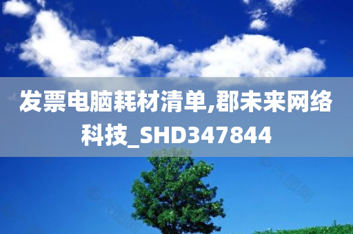 发票电脑耗材清单,郡未来网络科技_SHD347844