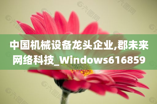 中国机械设备龙头企业,郡未来网络科技_Windows616859