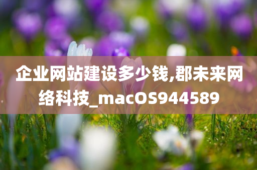 企业网站建设多少钱,郡未来网络科技_macOS944589