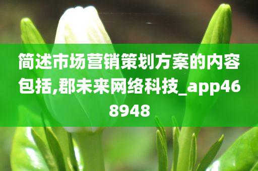 简述市场营销策划方案的内容包括,郡未来网络科技_app468948