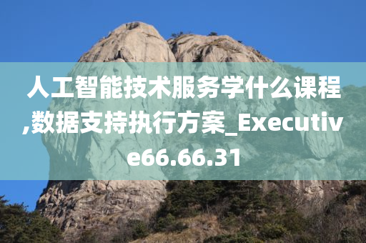 人工智能技术服务学什么课程,数据支持执行方案_Executive66.66.31