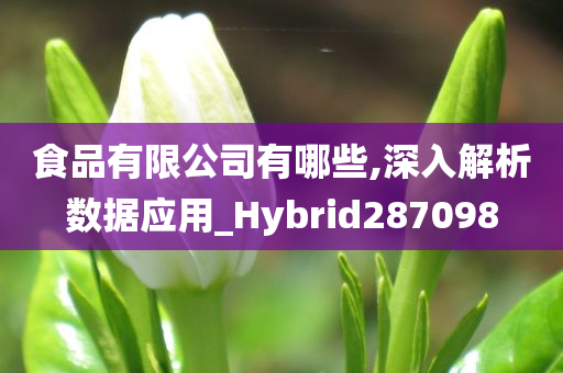 食品有限公司有哪些,深入解析数据应用_Hybrid287098