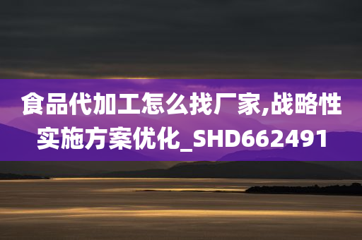 食品代加工怎么找厂家,战略性实施方案优化_SHD662491