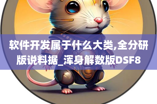 软件开发属于什么大类,全分研版说料据_浑身解数版DSF8