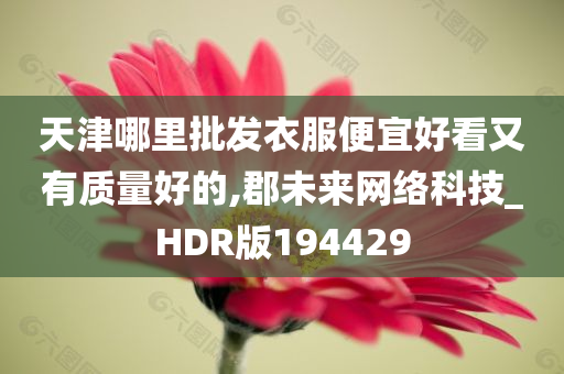 天津哪里批发衣服便宜好看又有质量好的,郡未来网络科技_HDR版194429