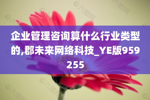 企业管理咨询算什么行业类型的,郡未来网络科技_YE版959255