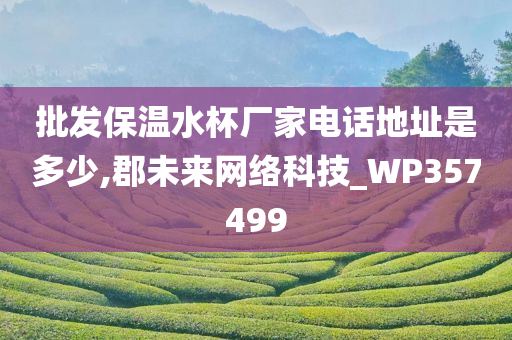 批发保温水杯厂家电话地址是多少,郡未来网络科技_WP357499