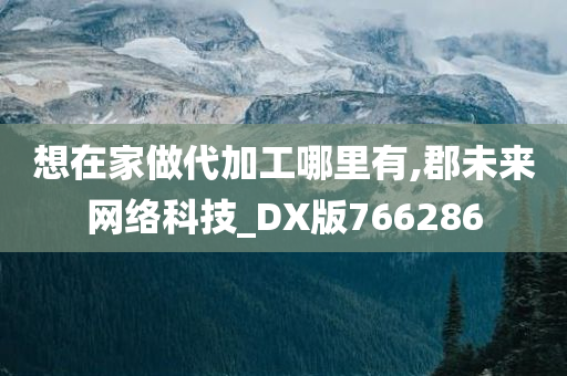 想在家做代加工哪里有,郡未来网络科技_DX版766286