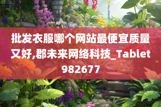 批发衣服哪个网站最便宜质量又好,郡未来网络科技_Tablet982677