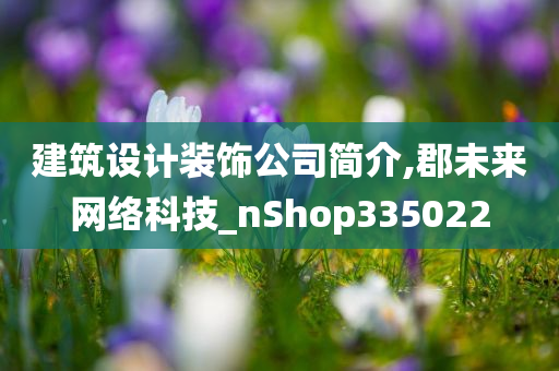 建筑设计装饰公司简介,郡未来网络科技_nShop335022