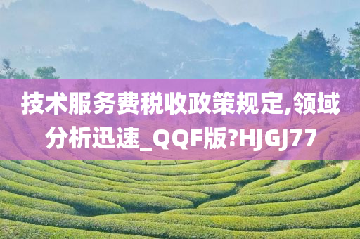 技术服务费税收政策规定,领域分析迅速_QQF版?HJGJ77