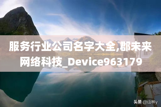 服务行业公司名字大全,郡未来网络科技_Device963179