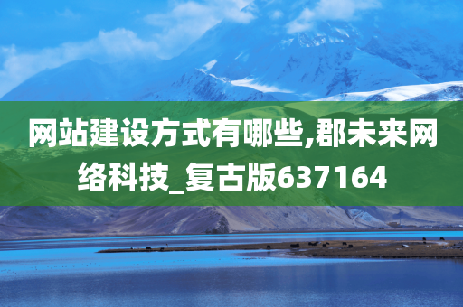 网站建设方式有哪些,郡未来网络科技_复古版637164