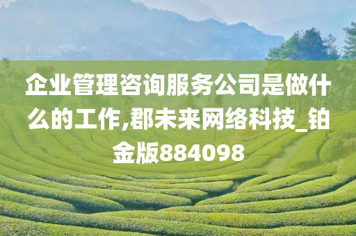 企业管理咨询服务公司是做什么的工作,郡未来网络科技_铂金版884098