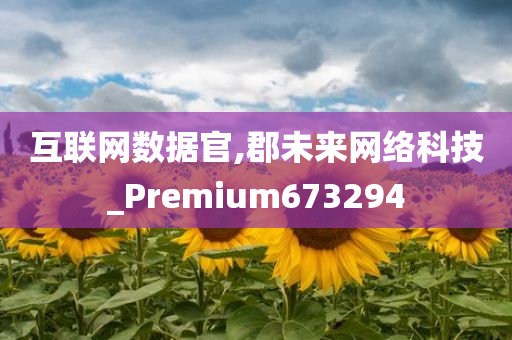 互联网数据官,郡未来网络科技_Premium673294