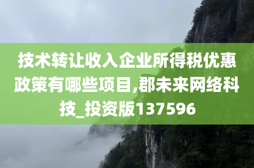 技术转让收入企业所得税优惠政策有哪些项目,郡未来网络科技_投资版137596