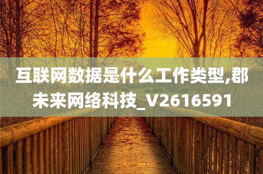 互联网数据是什么工作类型,郡未来网络科技_V2616591