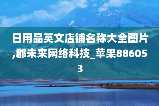 日用品英文店铺名称大全图片,郡未来网络科技_苹果886053