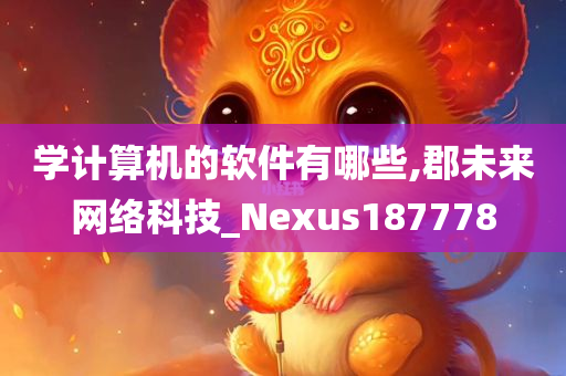 学计算机的软件有哪些,郡未来网络科技_Nexus187778