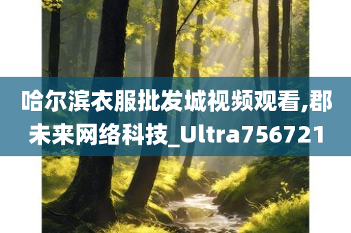 哈尔滨衣服批发城视频观看,郡未来网络科技_Ultra756721