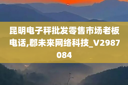 昆明电子秤批发零售市场老板电话,郡未来网络科技_V2987084