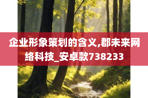 企业形象策划的含义,郡未来网络科技_安卓款738233