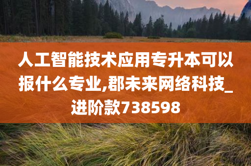 人工智能技术应用专升本可以报什么专业,郡未来网络科技_进阶款738598