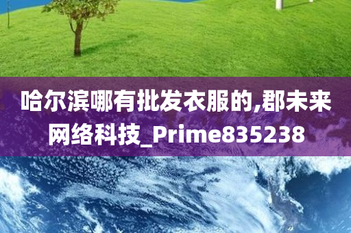 哈尔滨哪有批发衣服的,郡未来网络科技_Prime835238