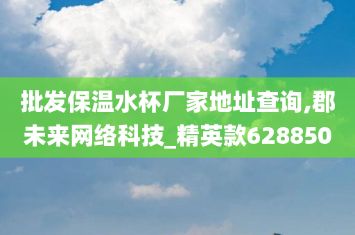 批发保温水杯厂家地址查询,郡未来网络科技_精英款628850