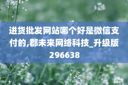 进货批发网站哪个好是微信支付的,郡未来网络科技_升级版296638