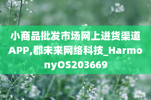 小商品批发市场网上进货渠道APP,郡未来网络科技_HarmonyOS203669