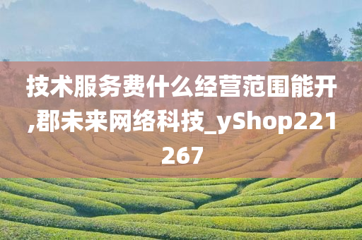 技术服务费什么经营范围能开,郡未来网络科技_yShop221267