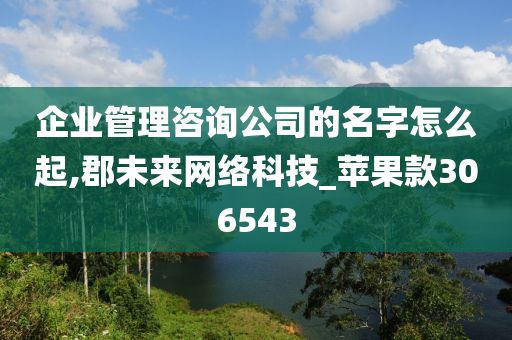 企业管理咨询公司的名字怎么起,郡未来网络科技_苹果款306543