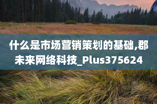 什么是市场营销策划的基础,郡未来网络科技_Plus375624