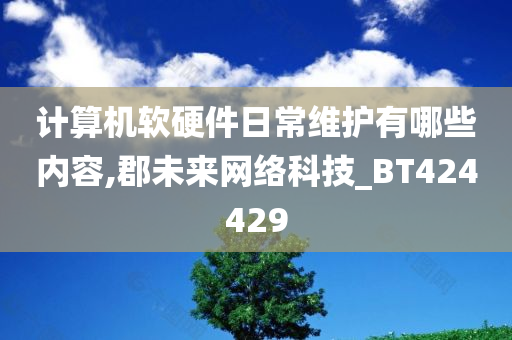 计算机软硬件日常维护有哪些内容,郡未来网络科技_BT424429