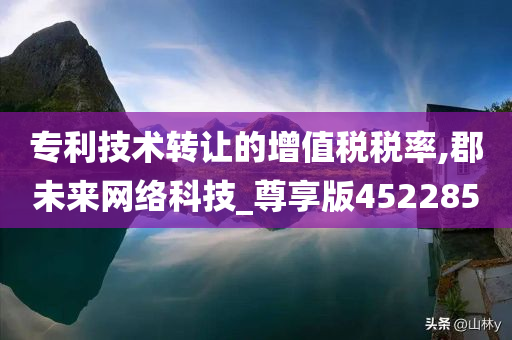 专利技术转让的增值税税率,郡未来网络科技_尊享版452285